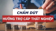 Chấm dứt hưởng Trợ cấp thất nghiệp; Thông báo có việc làm khi đang hưởng Trợ cấp thất nghiêp