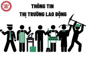 Thông tin Thị trường lao động