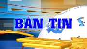 BẢN TIN QUÝ II NĂM 2025